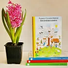 Весенняя книга